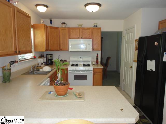 27 Buck Trail Fountain Inn, SC 29644 - Photo 7 of 25
