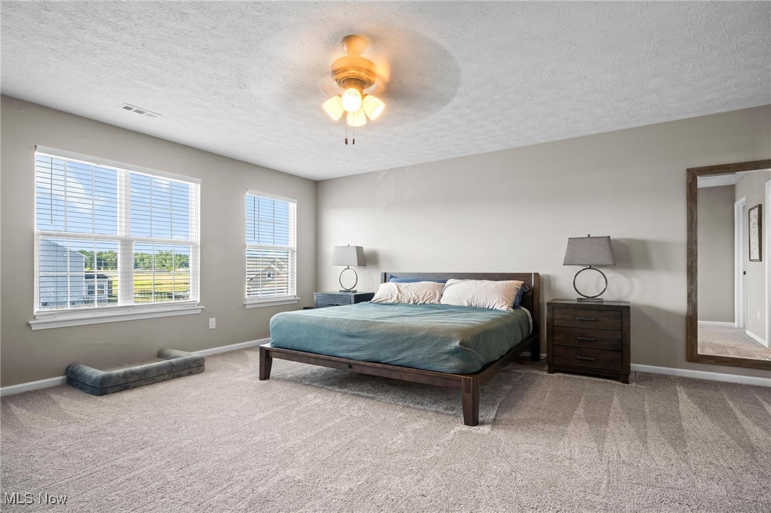 37174 Amber Way North Ridgeville, OH 44039 - Photo 15 of 40 Carpeted bedroom featuring a textured ceiling and a ceiling fan
