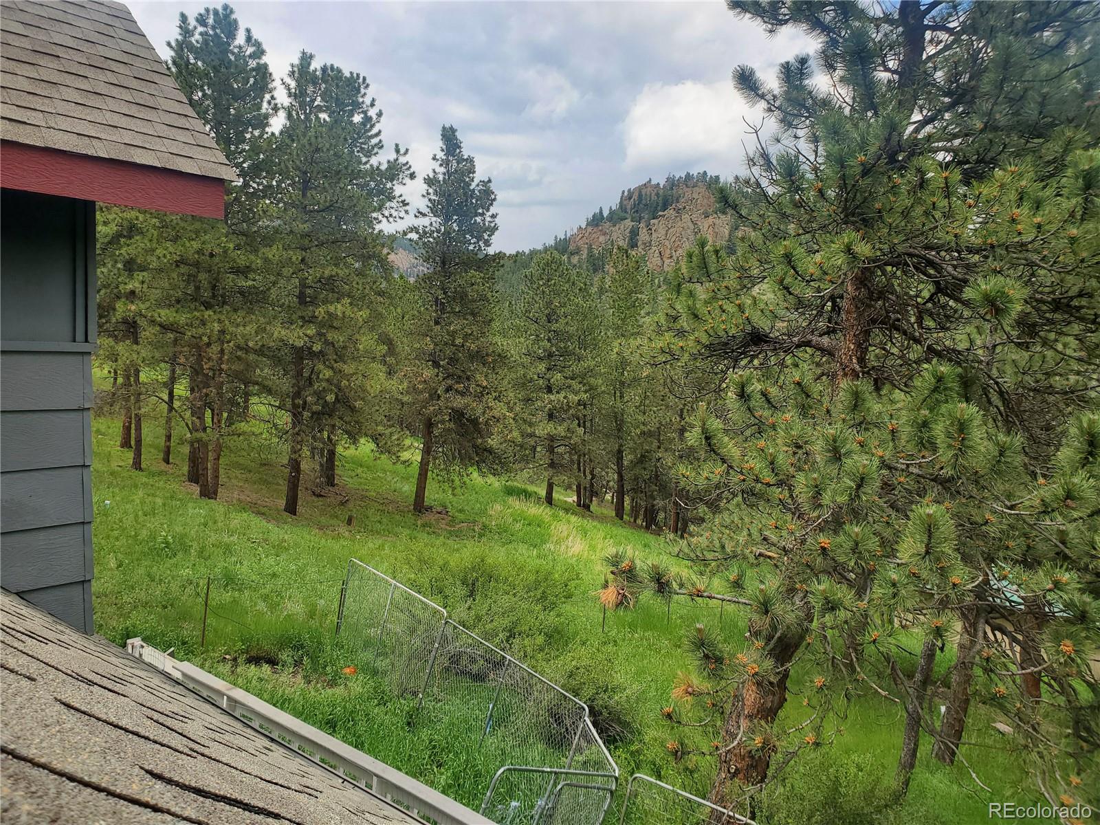 2099 Roland Drive Bailey, CO 80421 - Photo 23 of 39 Gallery Image 23