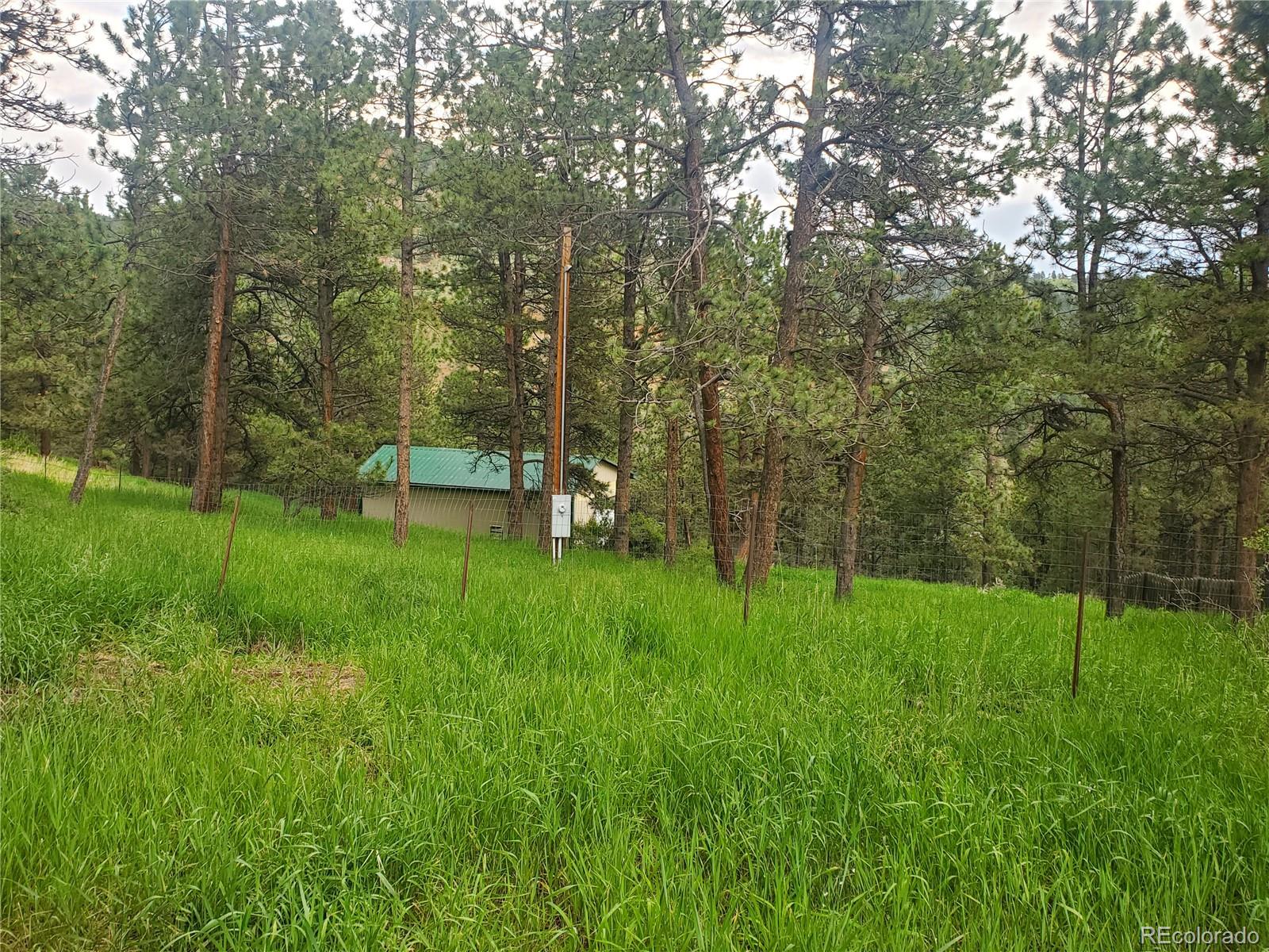 2099 Roland Drive Bailey, CO 80421 - Photo 24 of 39 Gallery Image 24