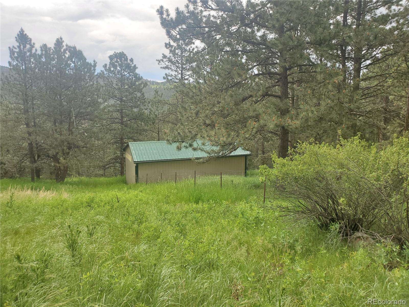2099 Roland Drive Bailey, CO 80421 - Photo 29 of 39 Gallery Image 29