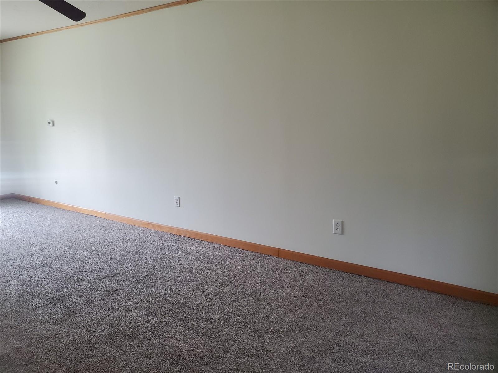 2099 Roland Drive Bailey, CO 80421 - Photo 9 of 39 Gallery Image 9