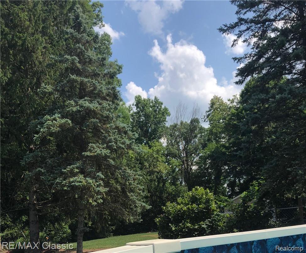 6370 North Ridge Road Canton, MI 48187 - Photo 29 of 36 Backyard views from pool