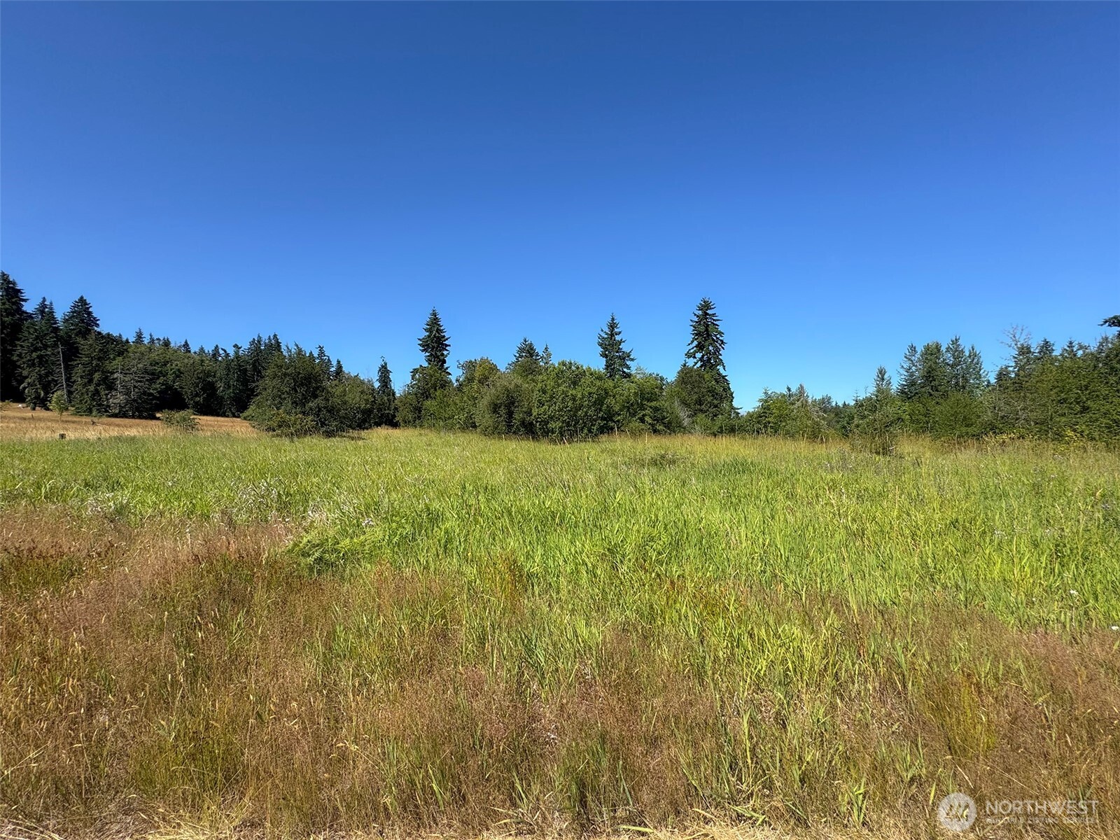 9999 Hoare Parcel C Rd Port Port Angeles, WA 98363 - Photo 11 of 13 Gallery Image 11