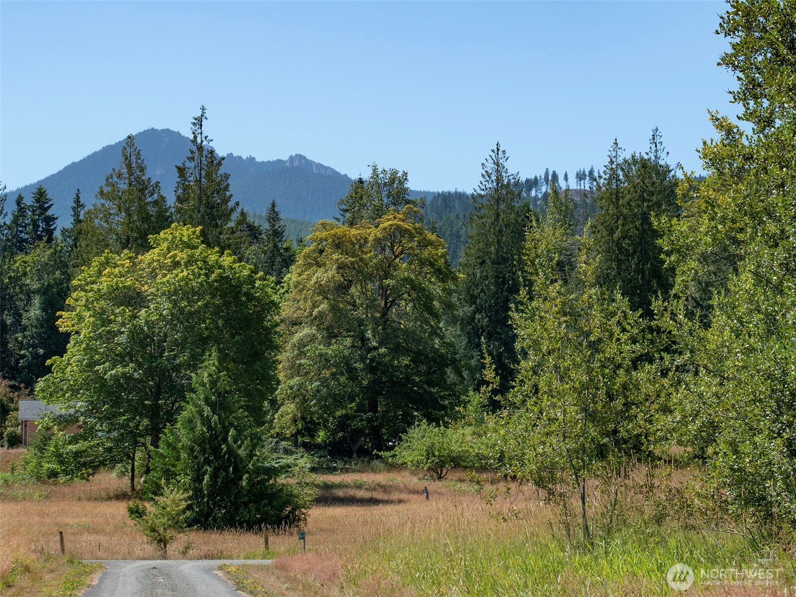9999 Hoare Parcel C Rd Port Port Angeles, WA 98363 - Photo 6 of 13 Gallery Image 6