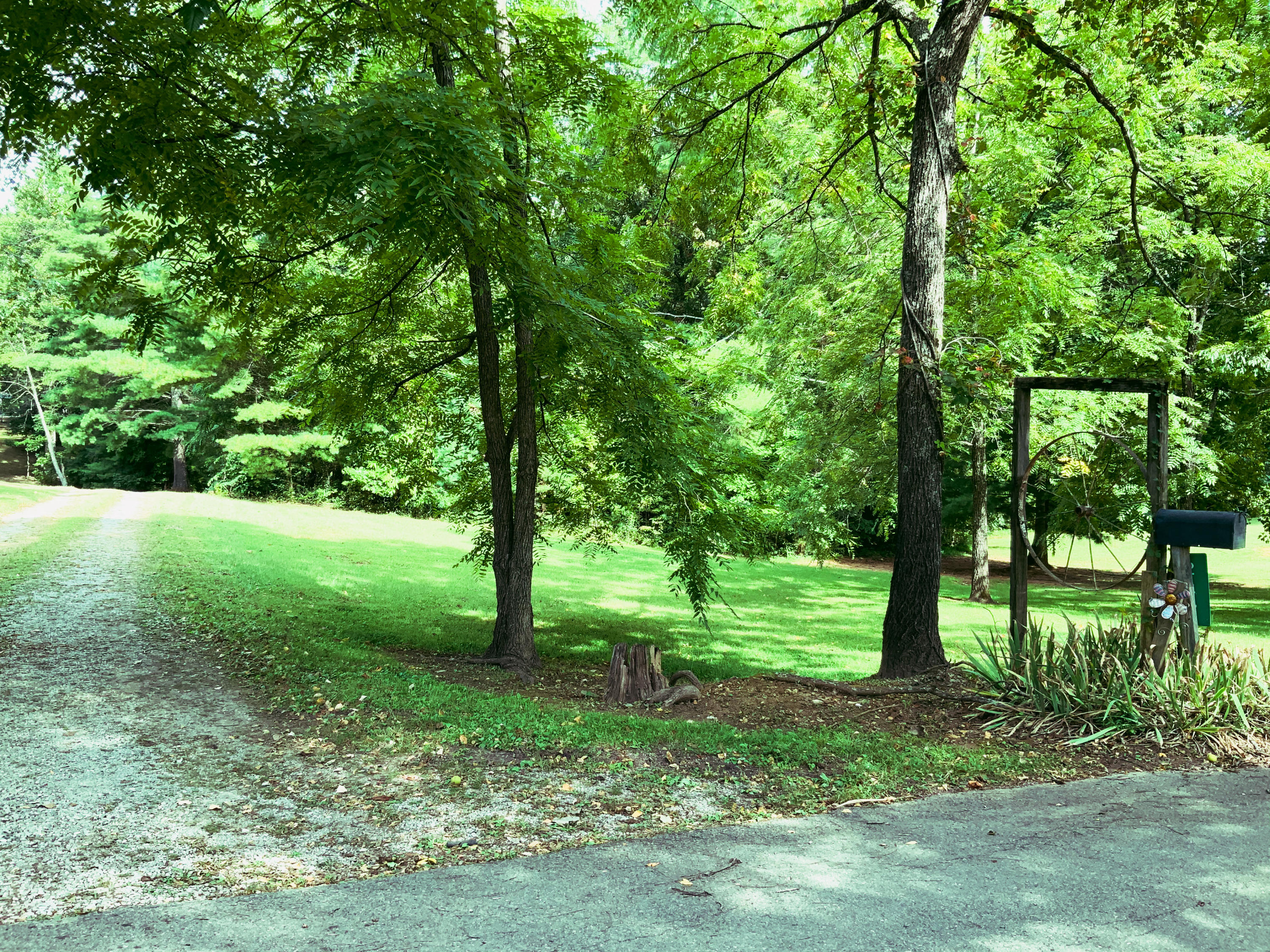 243-247 Massingale Road Tellico Plains, TN 37385 - Photo 2 of 28 D7F6D14F-4C46-4AFA-8B79-023799C70F8E
