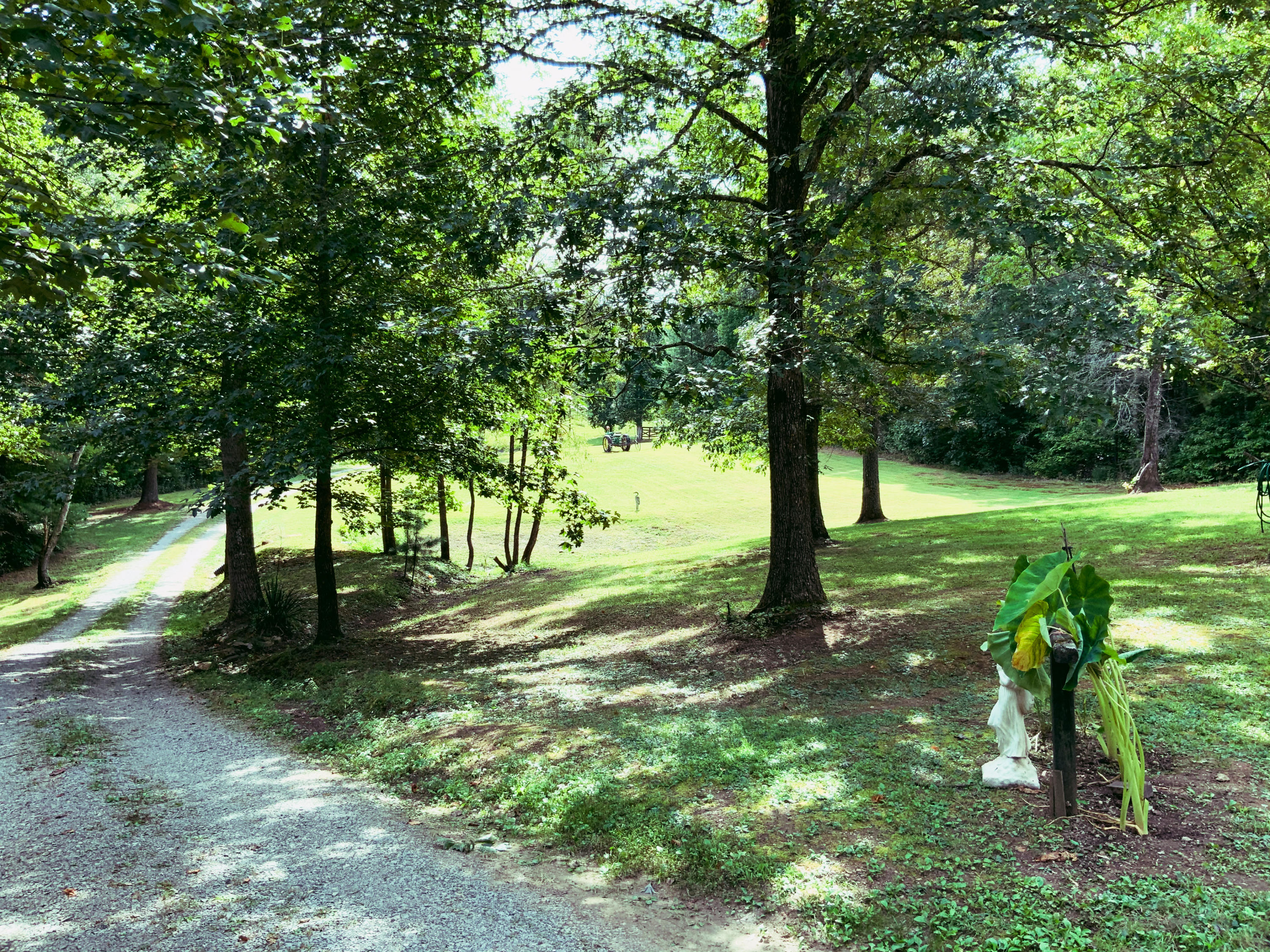 243-247 Massingale Road Tellico Plains, TN 37385 - Photo 12 of 28 FD2E4239-AC73-4A54-B14A-D361B1381170