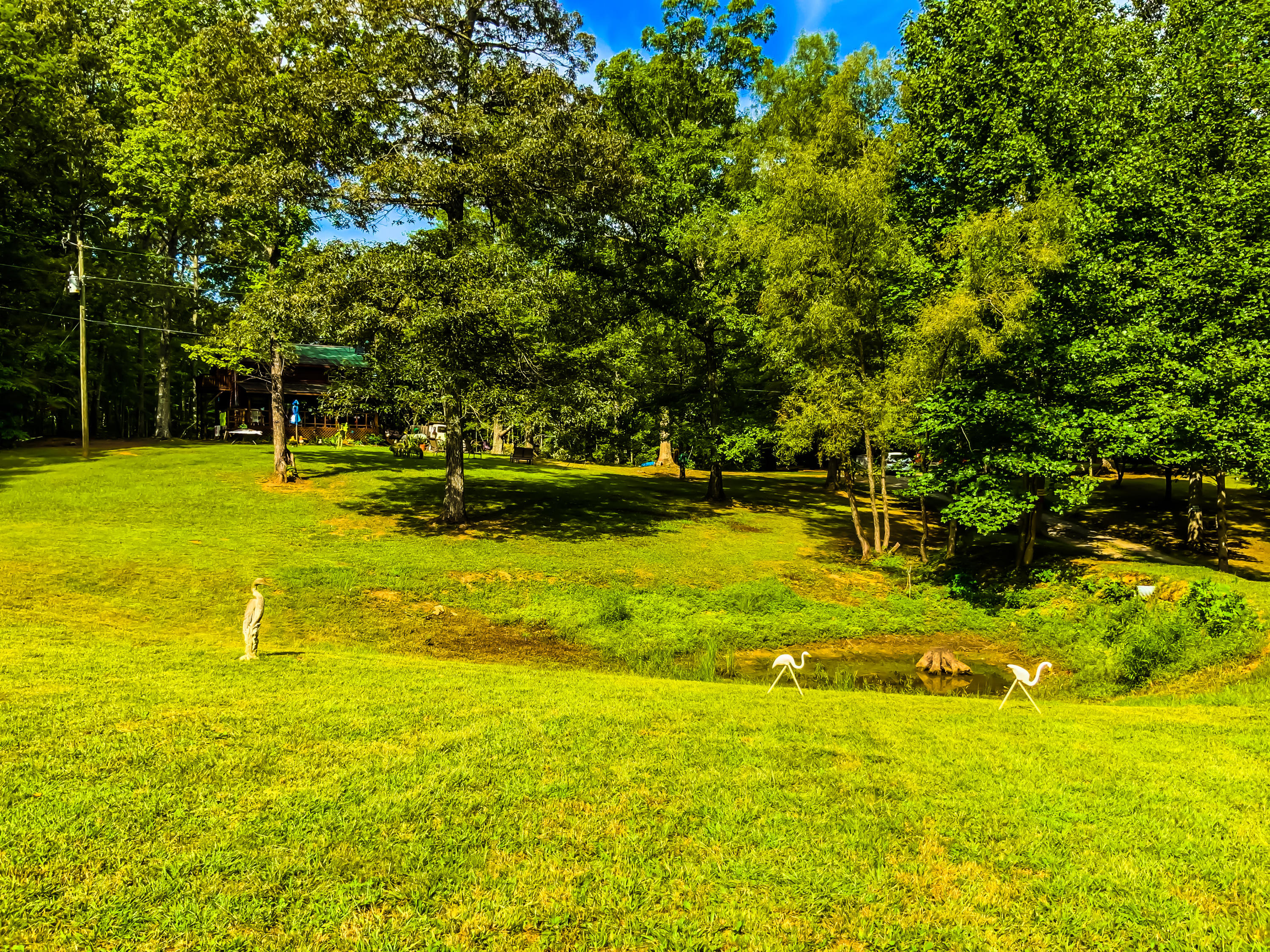 243-247 Massingale Road Tellico Plains, TN 37385 - Photo 5 of 28 17C9FB76-8C5F-4D94-80AF-7A268053EAE4