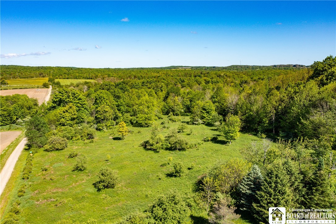 3946 Camp Road Sherman, NY 14781 - Photo 32 of 48