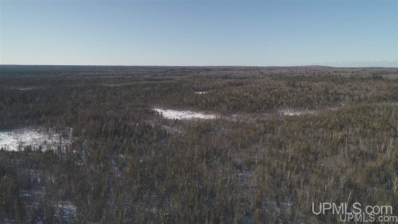 80-acres Co Rd N415 McMillan, MI 49853 - Photo 19 of 36