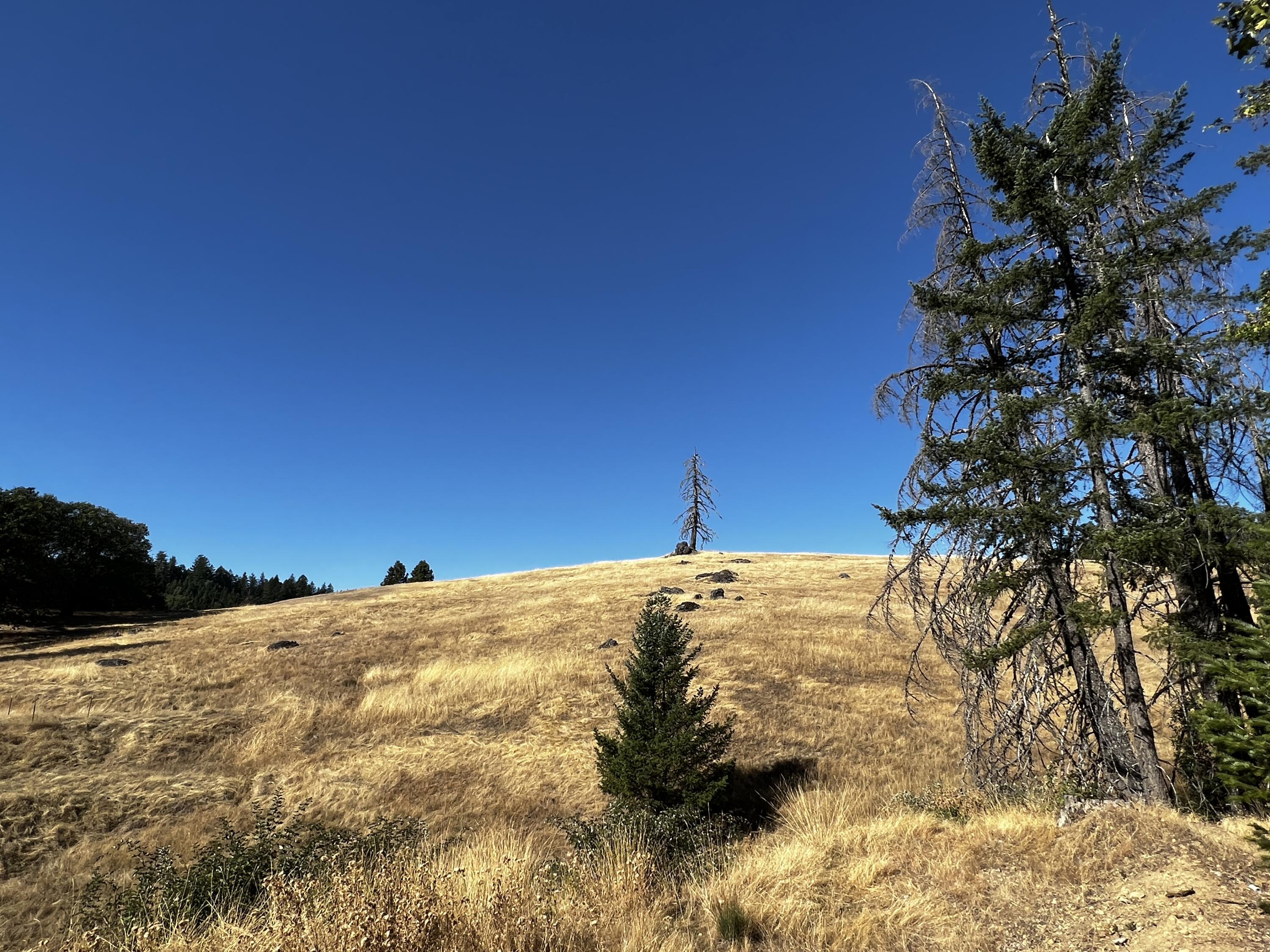 80-acre Bluff Creek Road Zenia, CA 95595 - Photo 7 of 27