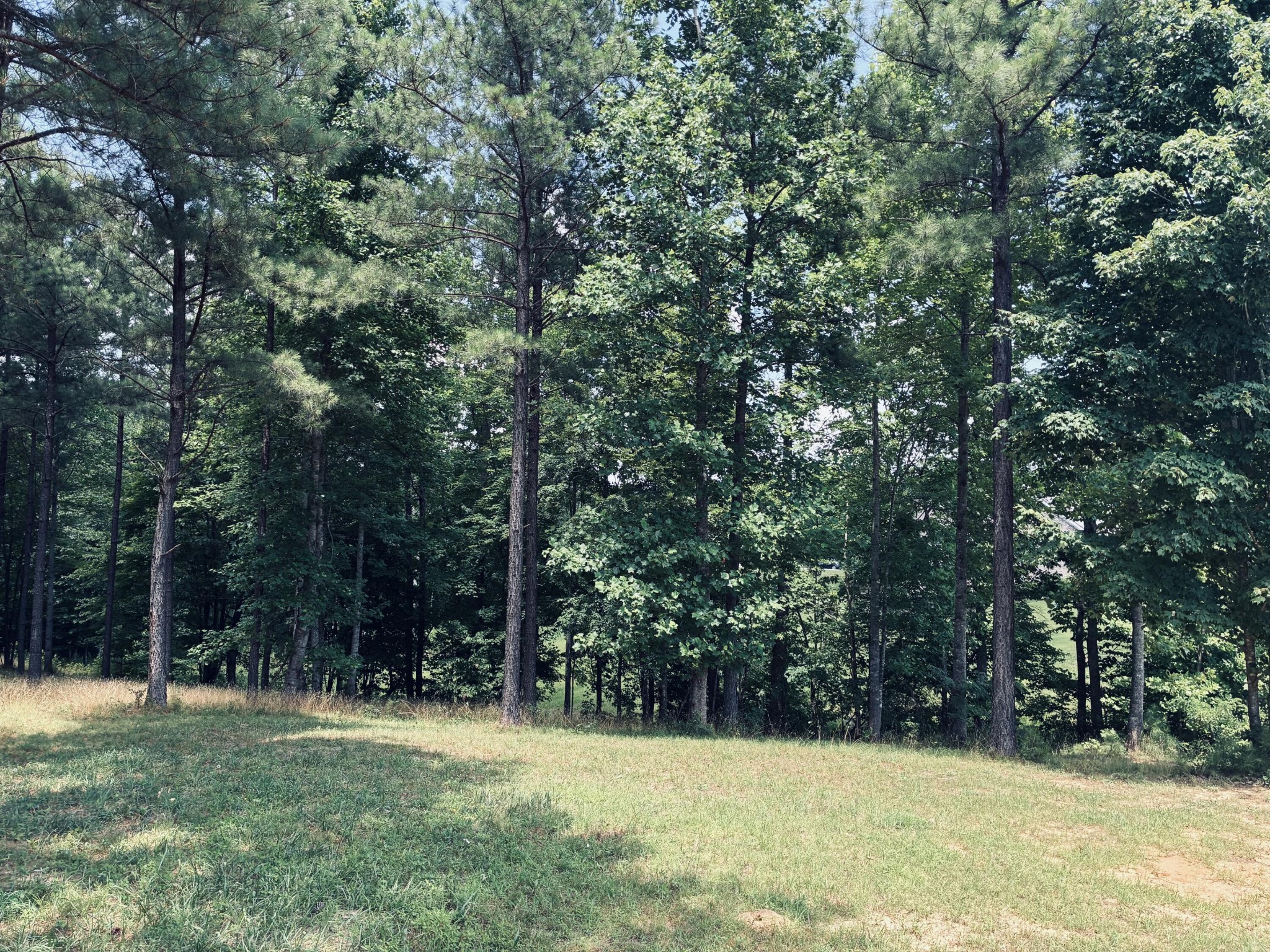 1711 Raulston Fls Road Jasper, TN 37347 - Photo 6 of 40