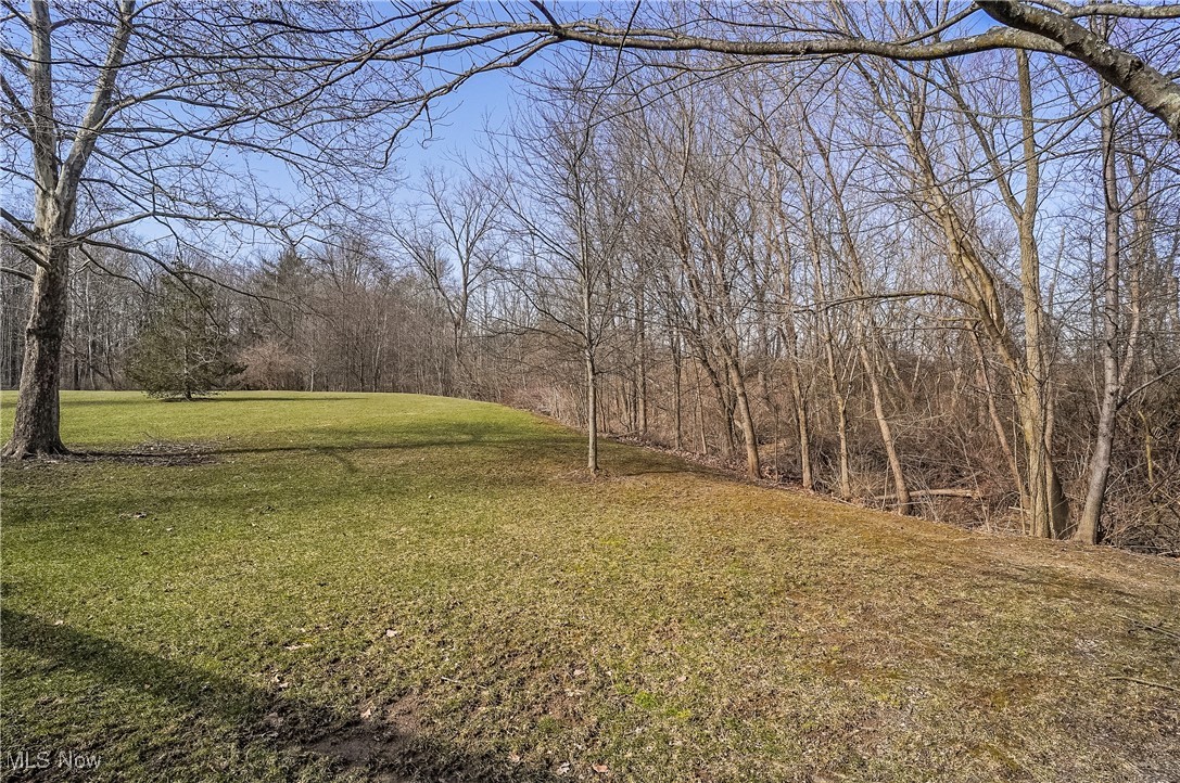 1284 Canyon View Road Northfield, OH 44067 - Photo 43 of 50 common green space