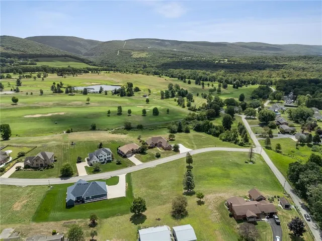 a view of a lush green hillside and houses