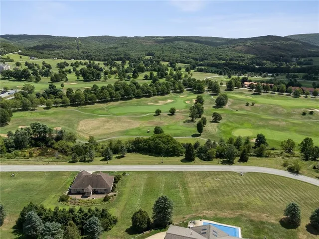a view of a lush green hillside and houses