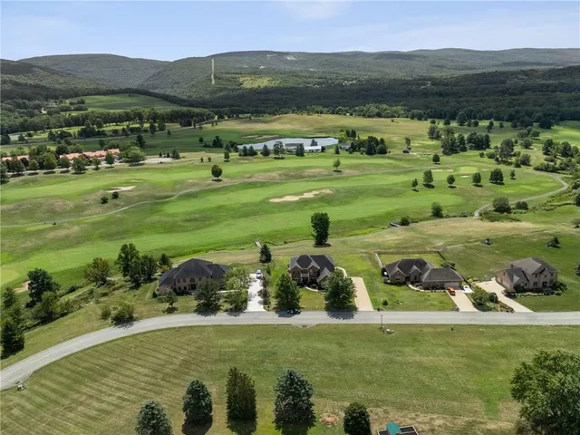 a view of a lush green hillside and houses