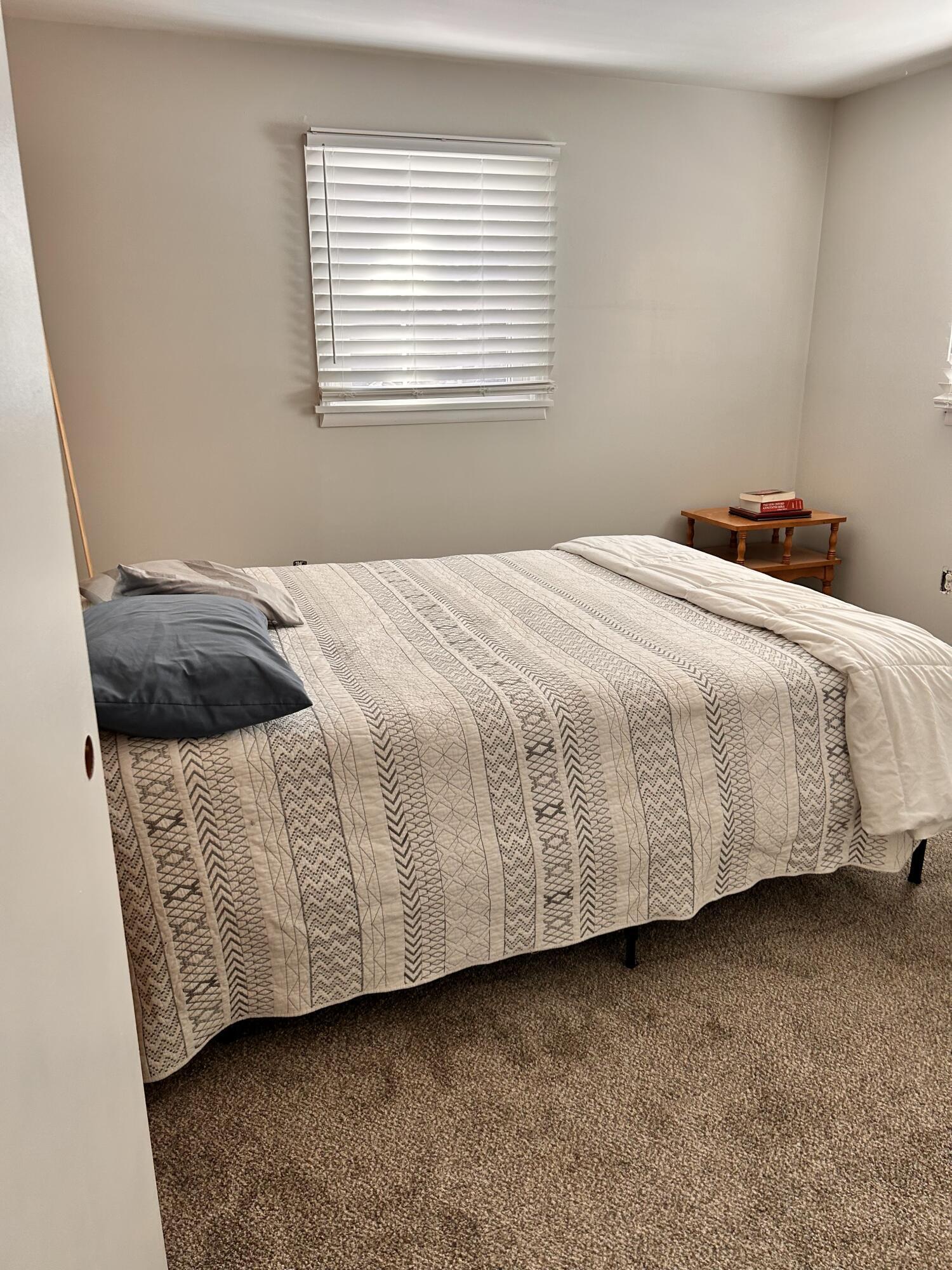 5335 Cave Spring Lane Roanoke, VA 24018 - Photo 9 of 19 Lower level bedroom