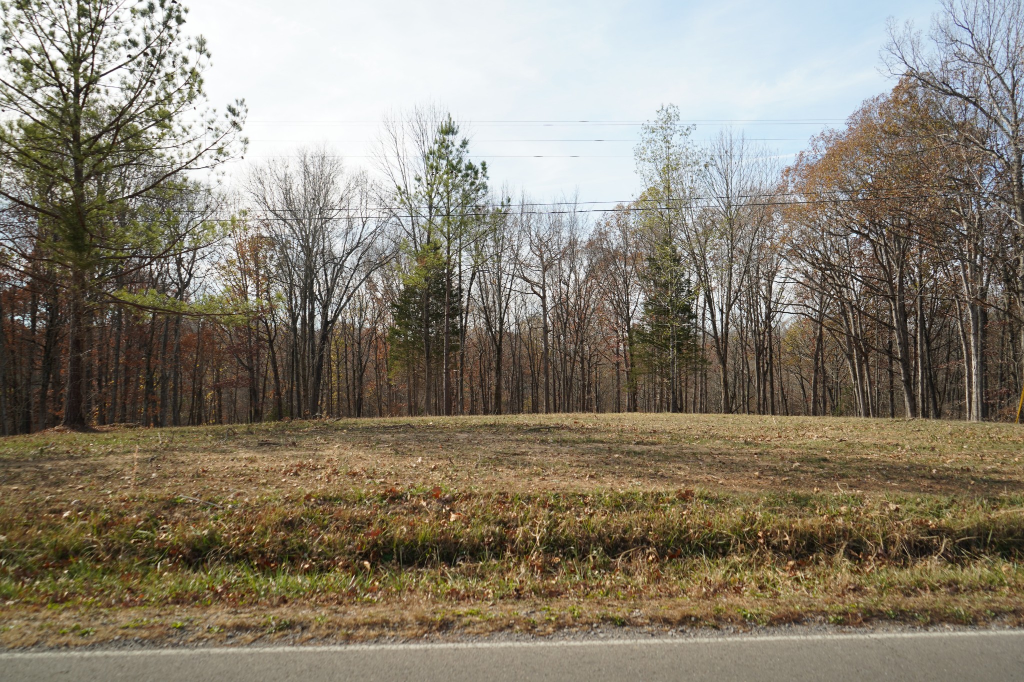0 Bumpus Mills Road Dover, TN 37058 - Photo 3 of 16 Gallery Image 3