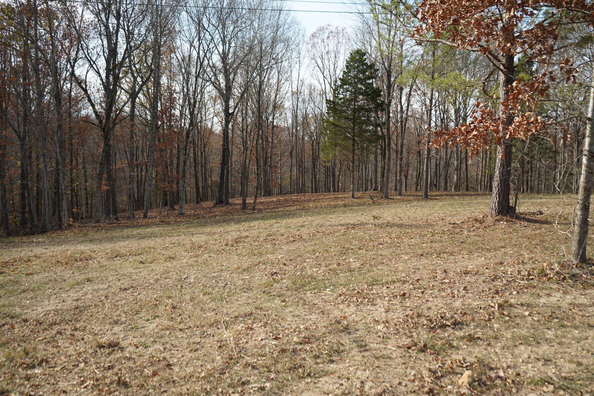0 Bumpus Mills Road Dover, TN 37058 - Photo 6 of 16 Gallery Image 6
