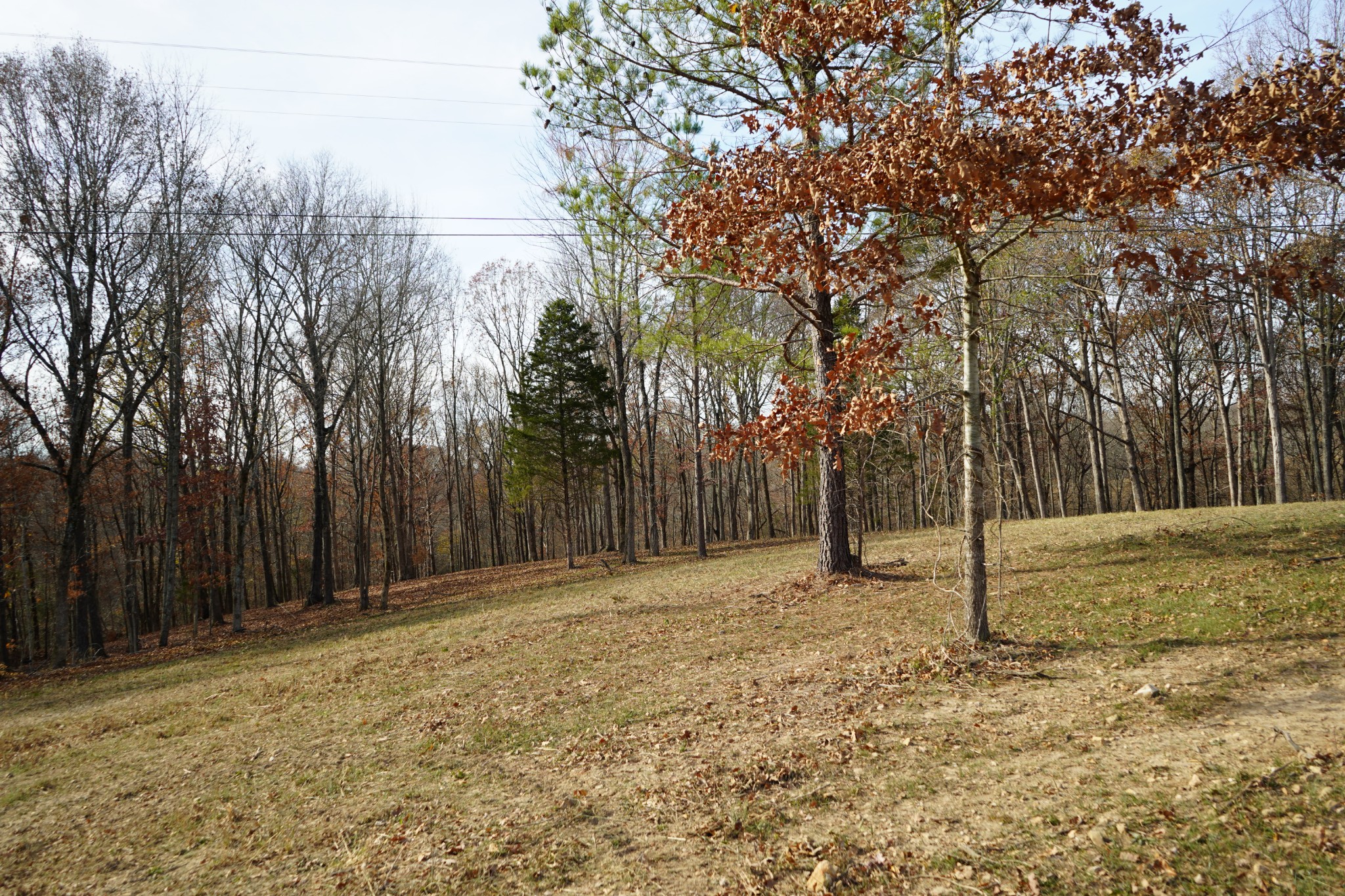 0 Bumpus Mills Road Dover, TN 37058 - Photo 10 of 16 Gallery Image 10
