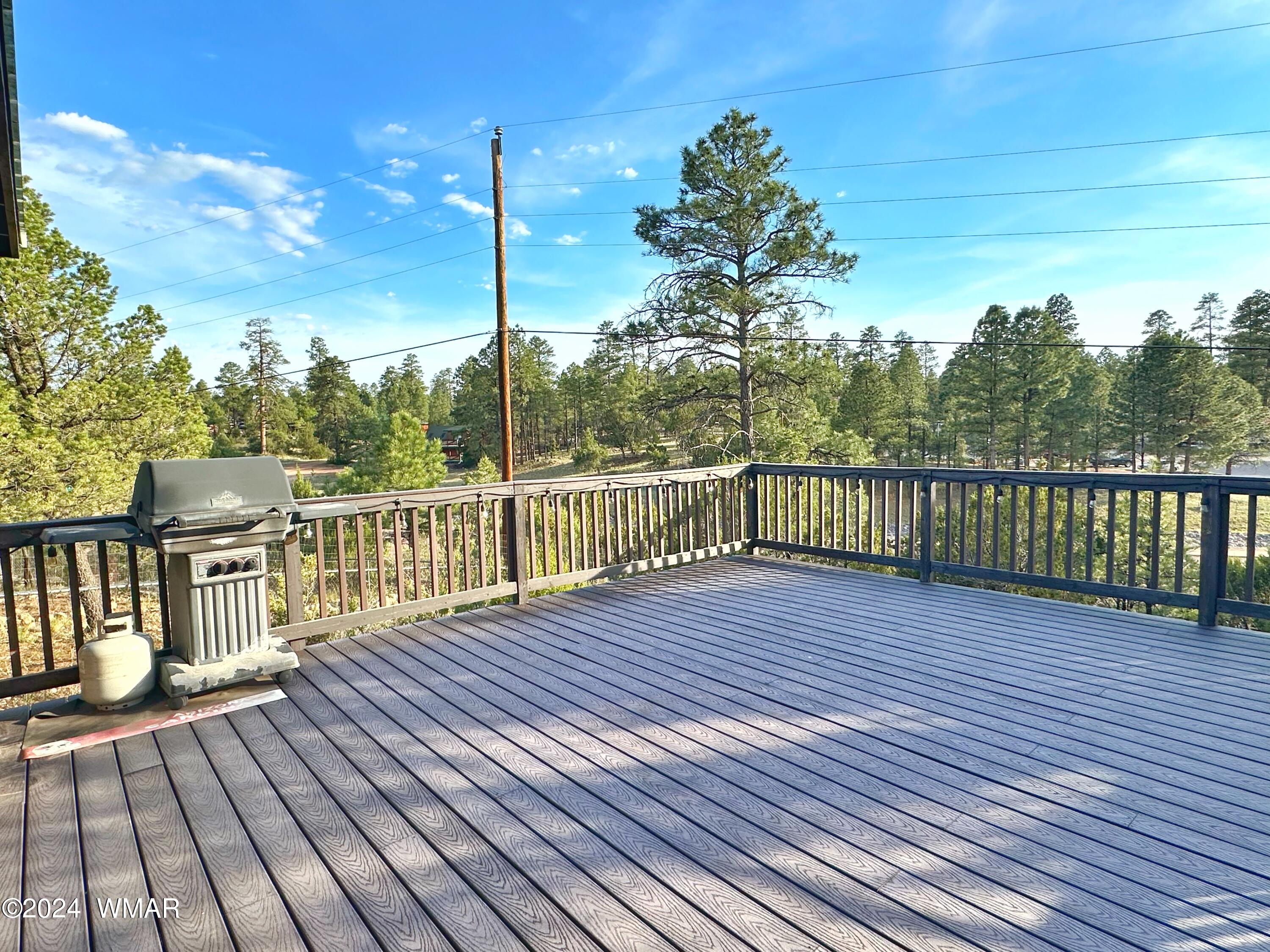3403 Top View Road Overgaard, AZ 85933 - Photo 18 of 19