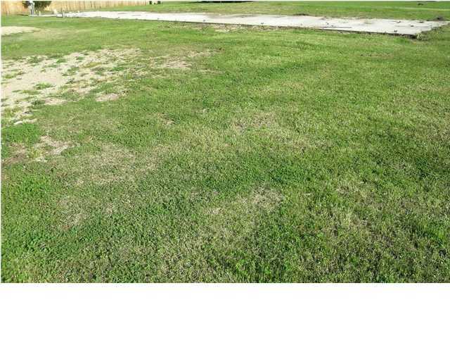 16 Alcide Bonin Road Breaux Bridge, LA 70517 - Photo 2 of 2