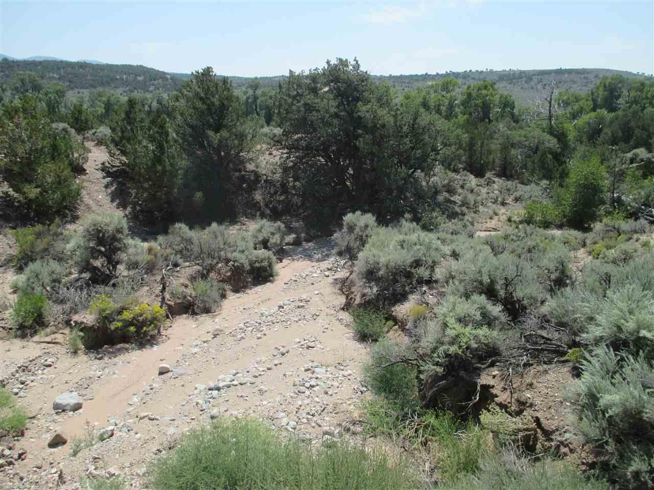 4256 Ehrenclow Road Fort Garland, CO 81133 - Photo 12 of 12 Gallery Image 12