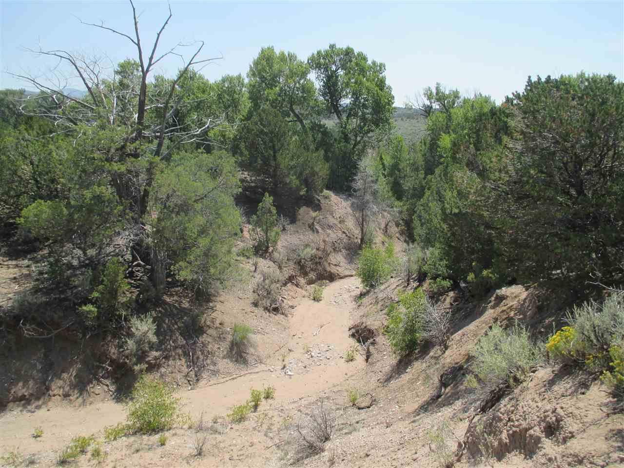 4256 Ehrenclow Road Fort Garland, CO 81133 - Photo 10 of 12 Gallery Image 10