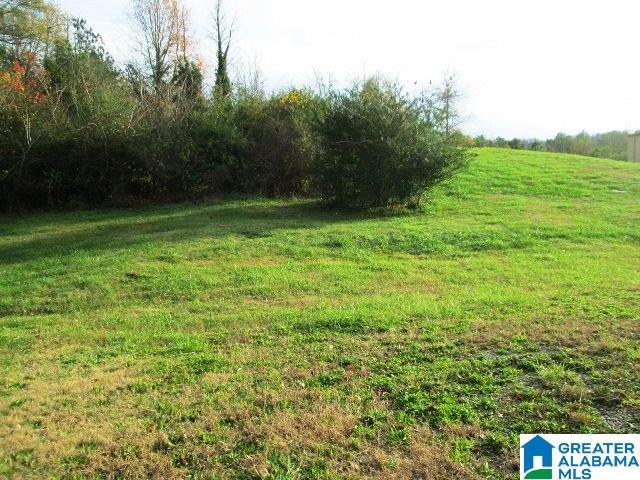 8068 Highway 11 Springville Al, Unit 1 Springville, AL 35146 - Photo 3 of 7