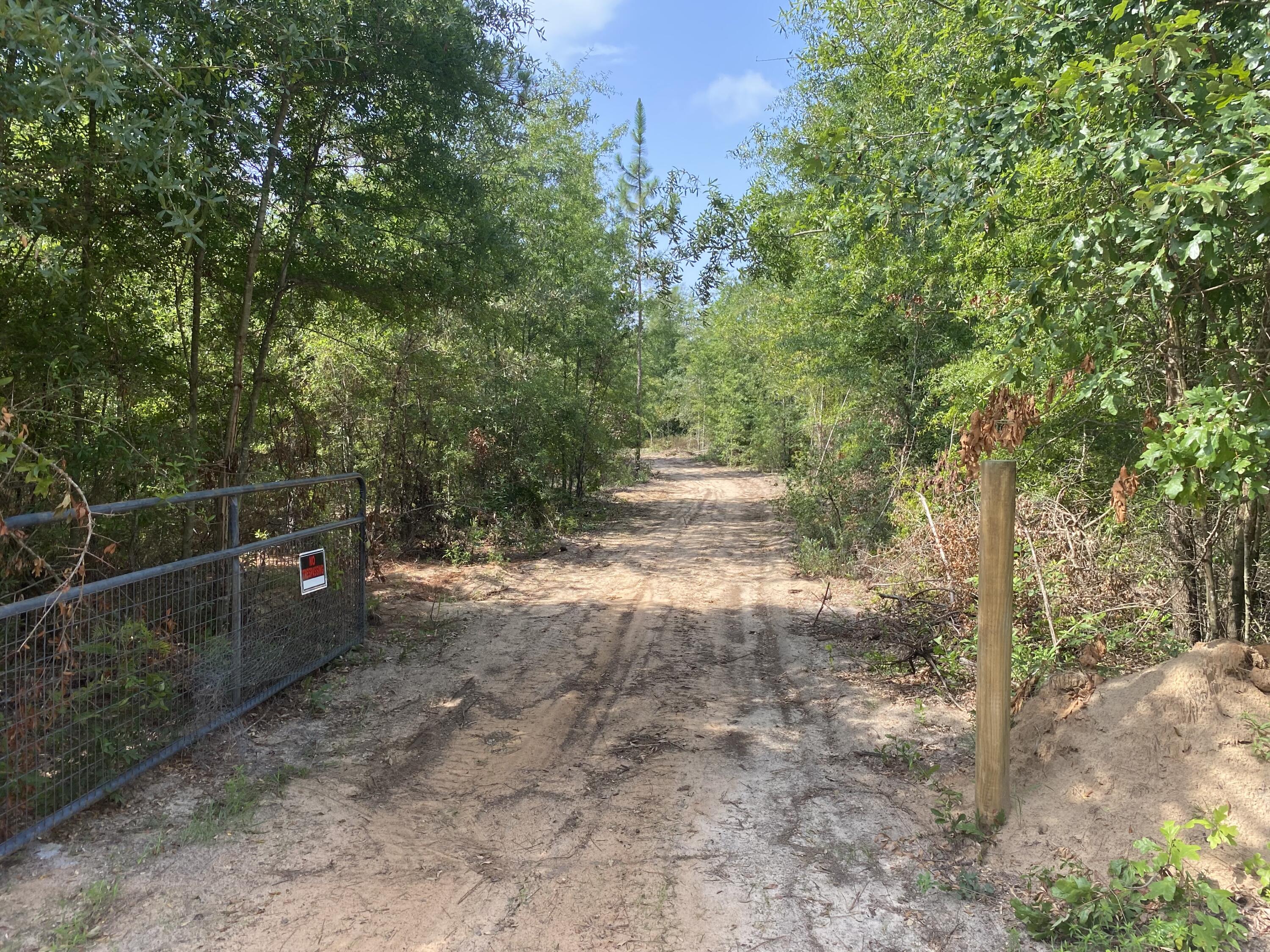 14-acres 14-acres Pearl Bonnet Road Windsor, SC 29856 - Photo 5 of 10