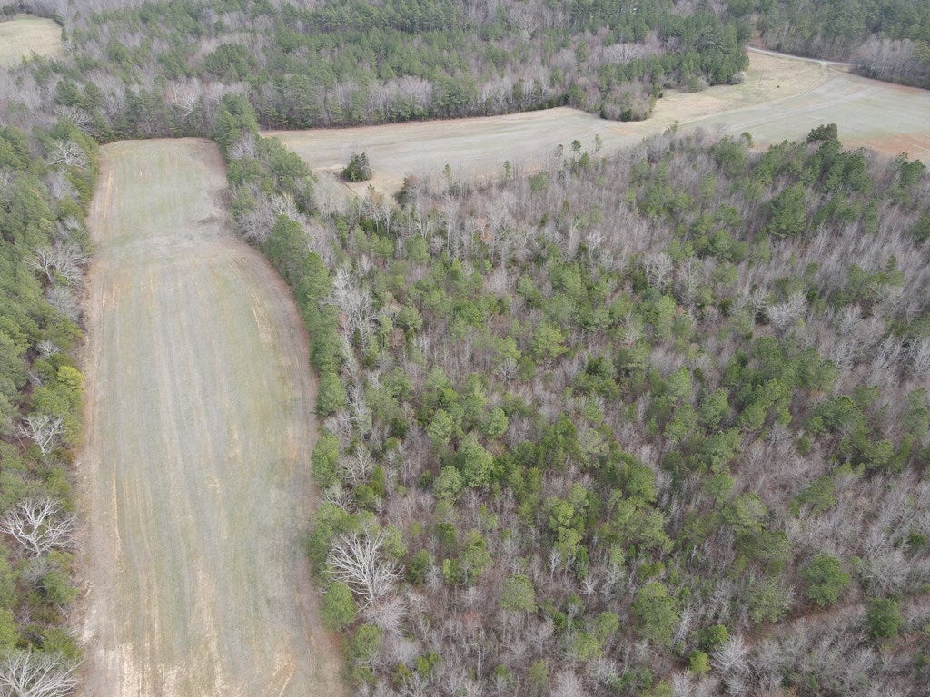 1487 Love Town Road Buffalo Junction, VA 24529 - Photo 4 of 9 Gallery Image 4