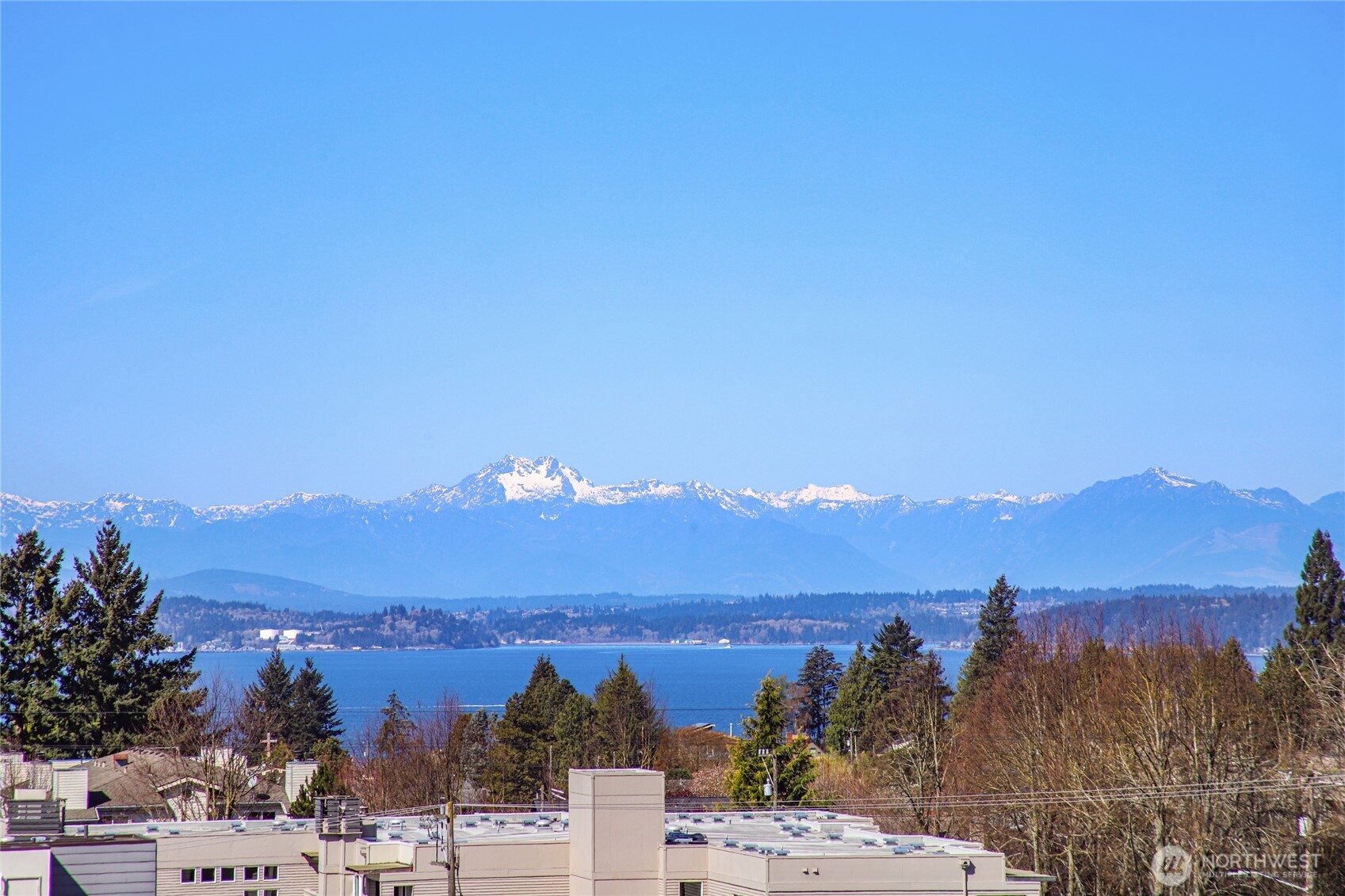 6318 41st Avenue Southwest, Unit A Seattle, WA 98136 - Photo 21 of 32