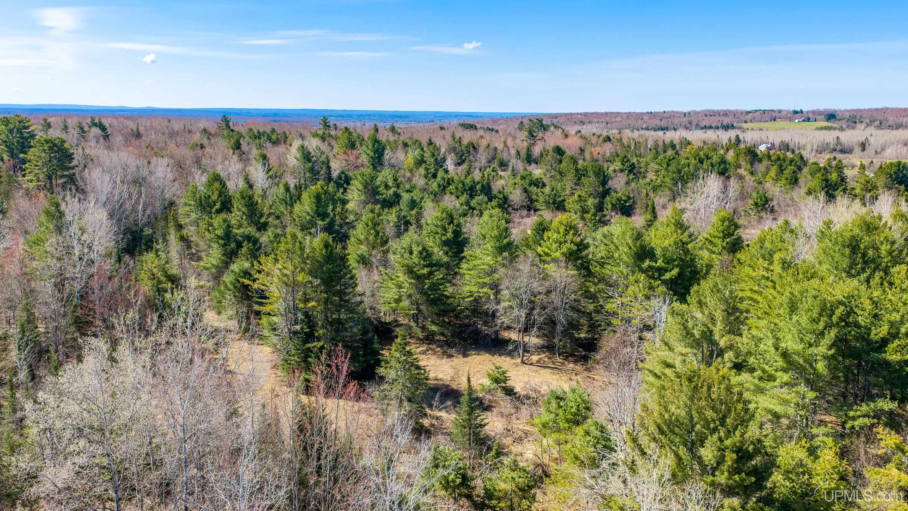 33490 Tapiola Road Pelkie, MI 49958 - Photo 73 of 82