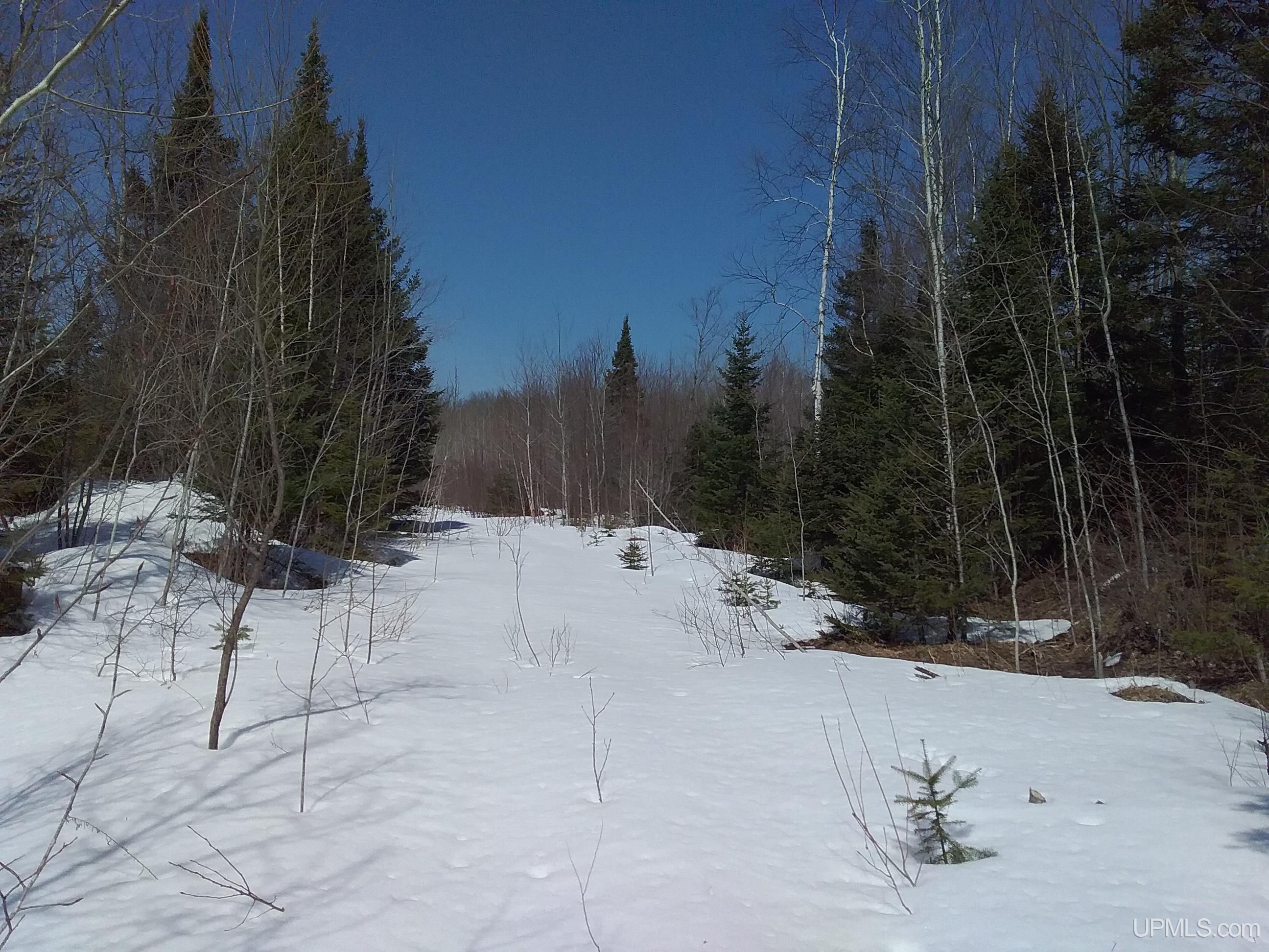 V25 Rd Trenary Mi 49891 Road Rapid River, MI 49878 - Photo 7 of 28