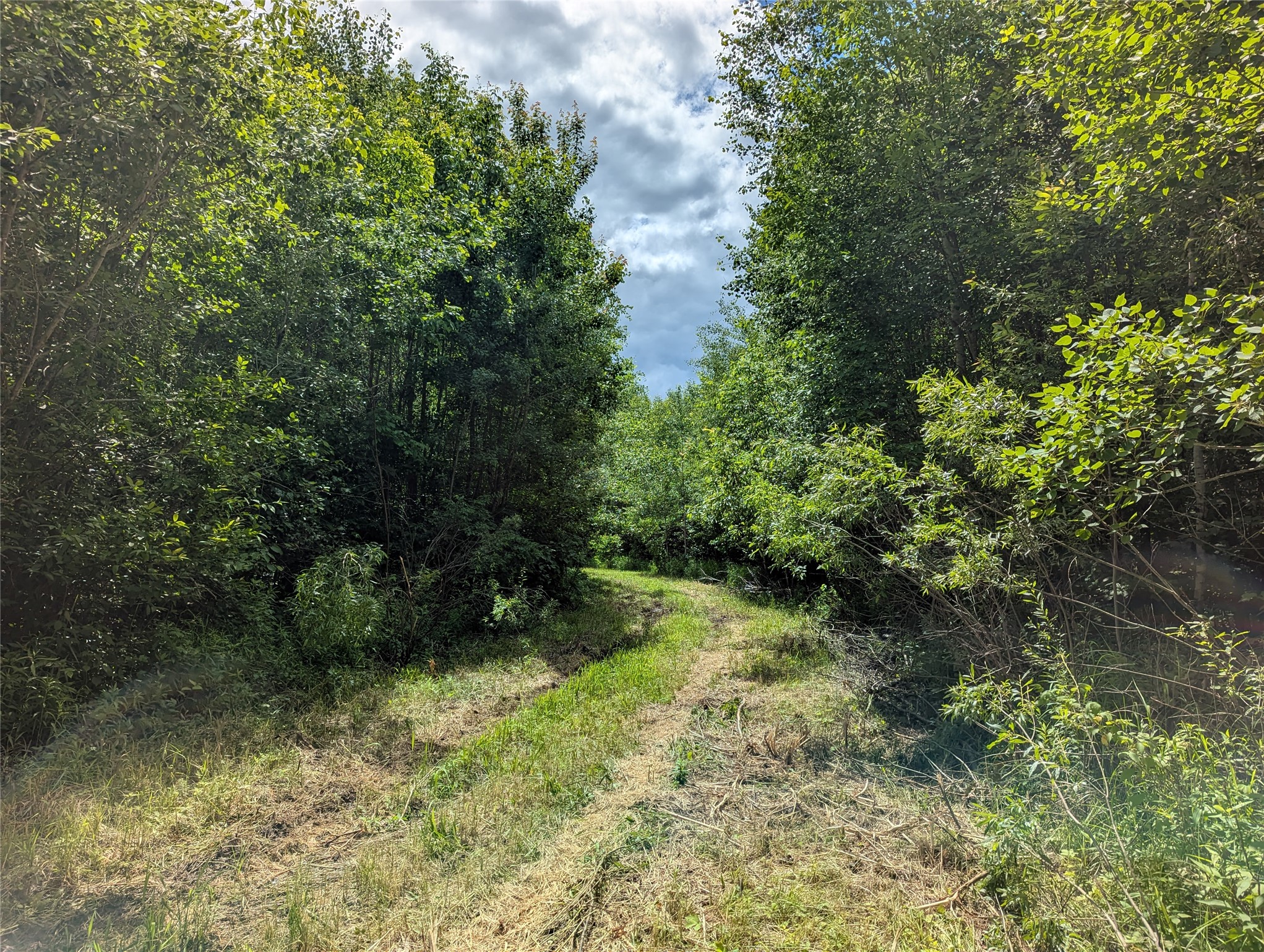 N4180 Wilderness Road Glen Flora, WI 54526 - Photo 7 of 29