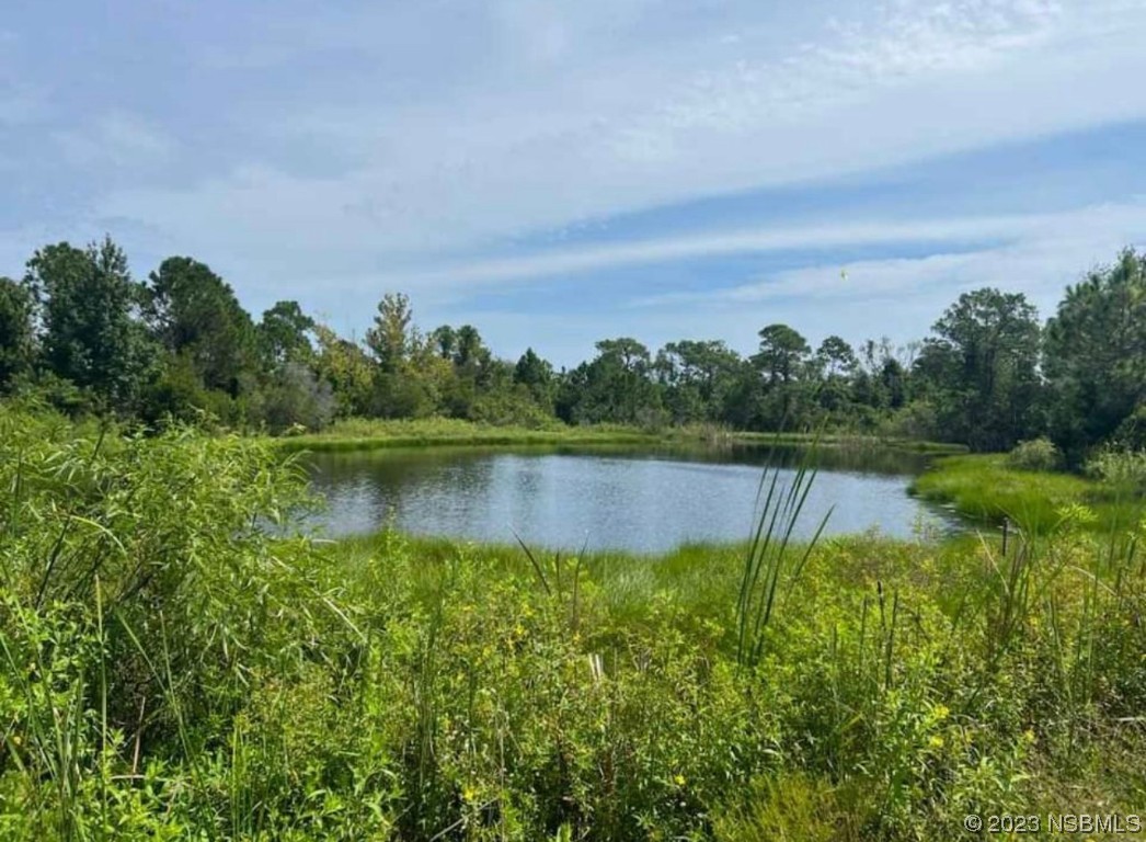 4660 Ames Haven Road Edgewater, FL 32141 - Photo 12 of 17 a view of a lake with houses in the back