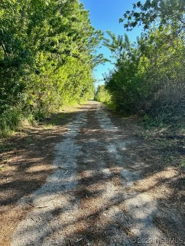 a view of a yard with a tree