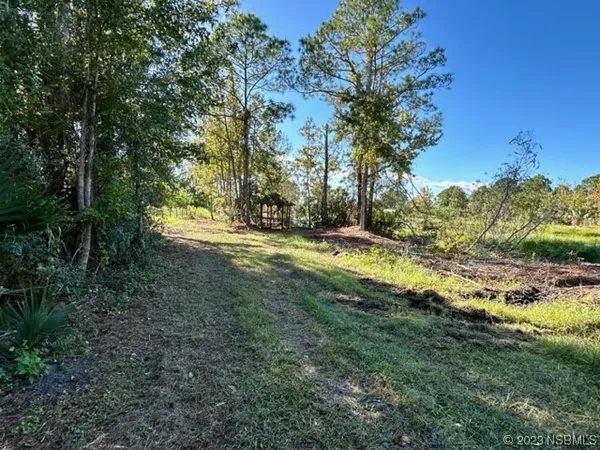 a view of outdoor space with trees all around