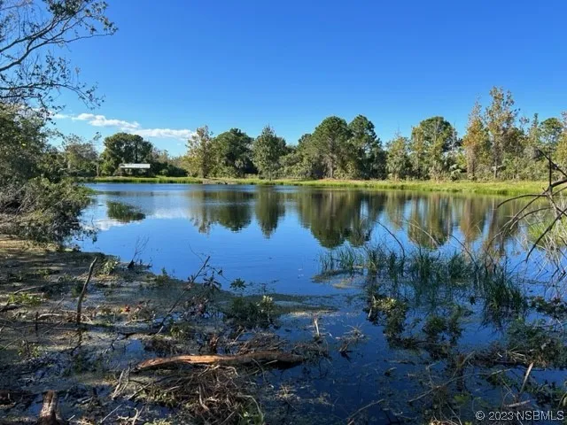 a view of a lake in between two large trees