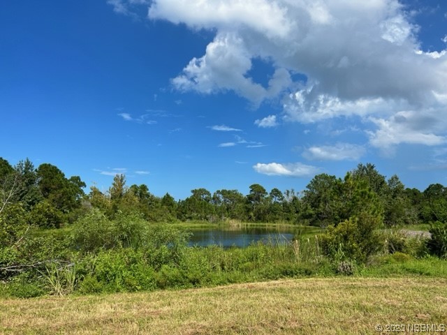 4660 Ames Haven Road Edgewater, FL 32141 - Photo 2 of 17 a view of a lake