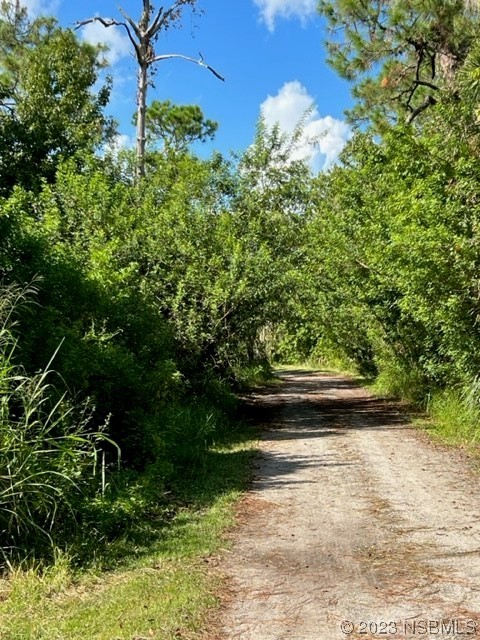 4660 Ames Haven Road Edgewater, FL 32141 - Photo 4 of 17 a view of a yard