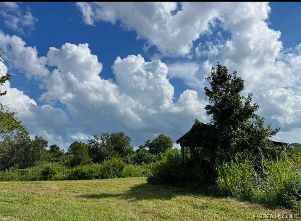 4660 Ames Haven Road Edgewater, FL 32141 - Photo 5 of 17 a view of a bunch of flowers in middle of green field