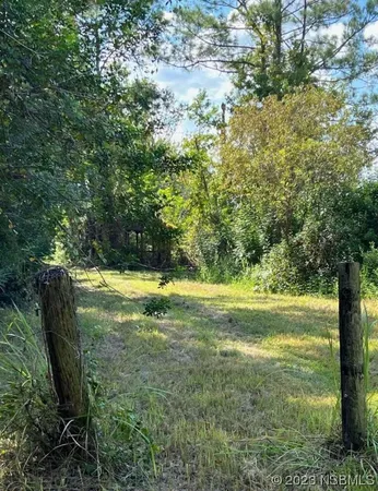 a view of a garden from a swimming pool