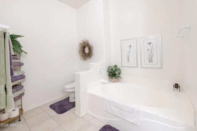a bath room with a toilet and a bath tub