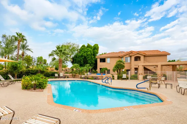 a view of a swimming pool with lawn chairs and plants