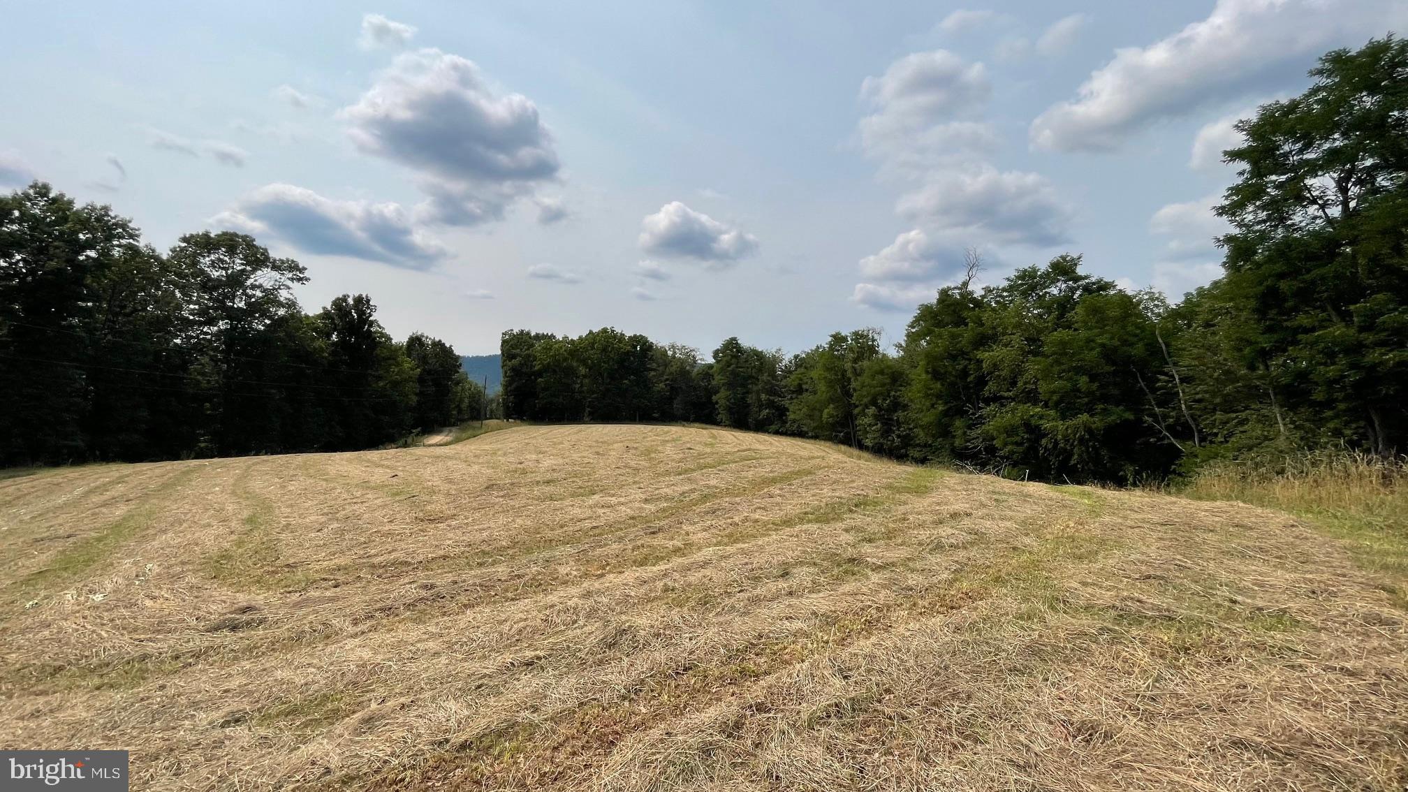 1285 Boggs Lane Mathias, WV 26812 - Photo 48 of 50