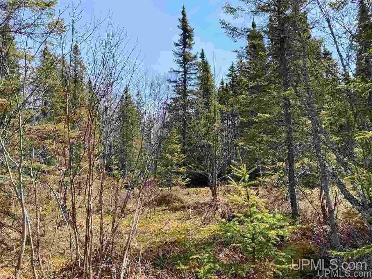 Tbd Mud Lake Road Lake Linden, MI 49945 - Photo 11 of 18