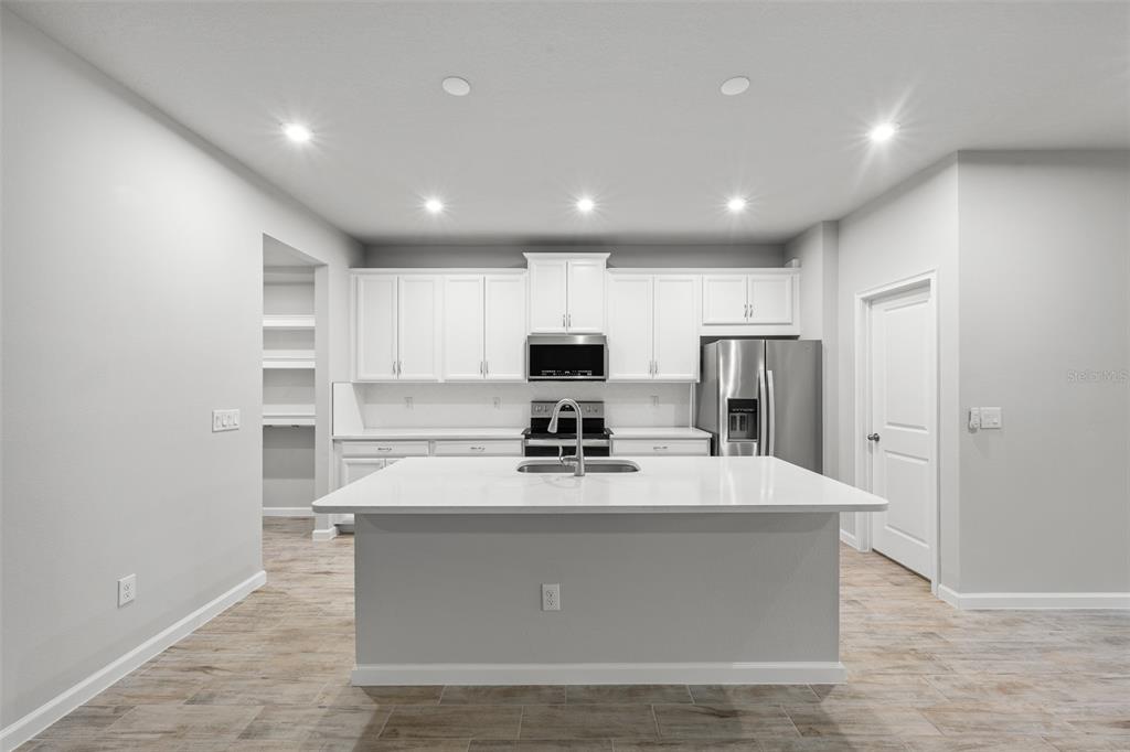 4366 Cloud Hopper Way Lutz, FL 33559 - Photo 5 of 28