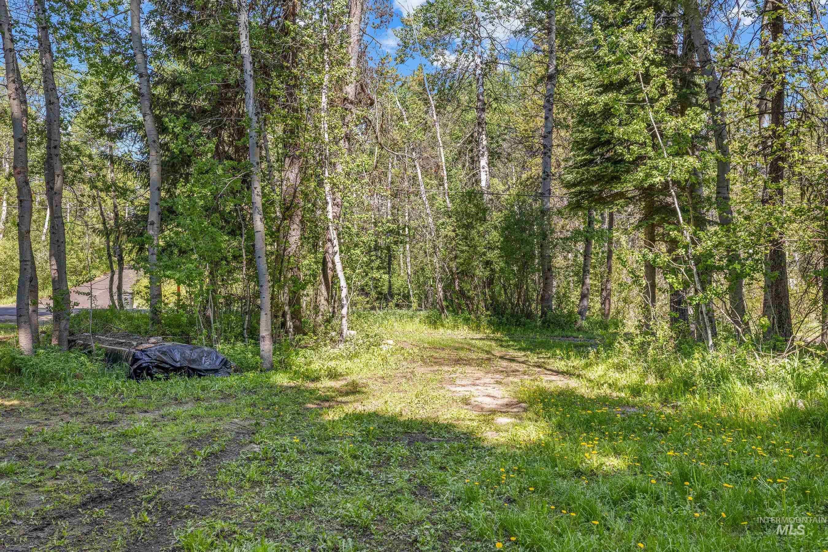 1718 Warren Wagon Road McCall, ID 83638 - Photo 10 of 43