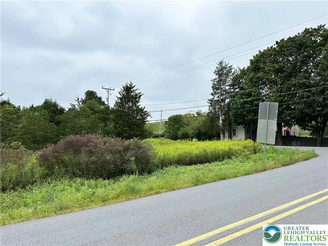 a view of a yard with potted plants